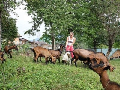 Kozarstvo Štimac Cunar