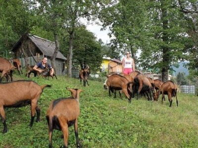 Kozarstvo Štimac Cunar