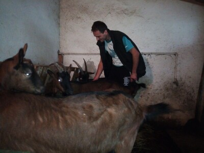 Kozarstvo u porodici Trifunović