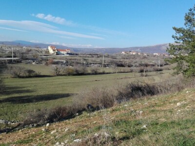 Kozarstvo Vice Udiljak