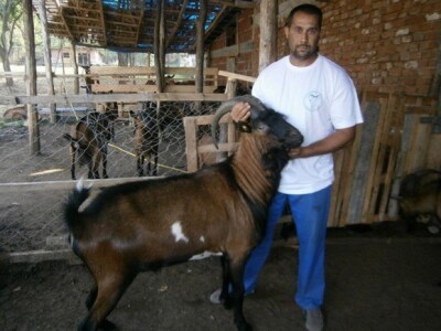 Kozarstvo za bolju budućnost - Farma u selu Kremenica