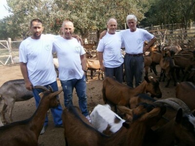 Kozarstvo za bolju budućnost - Novica sa radnicima farme