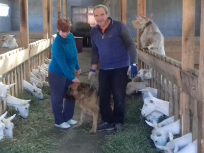 Biserka i Radoslav Moravec s vjernim njemačkim ovčarem