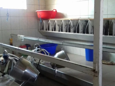 U planu im je kupnja automatizirane muzilice