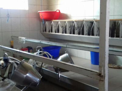 U planu im je kupnja automatizirane muzilice