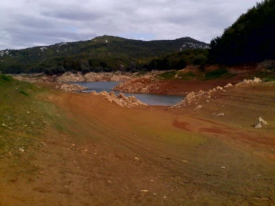 Koze u Lici