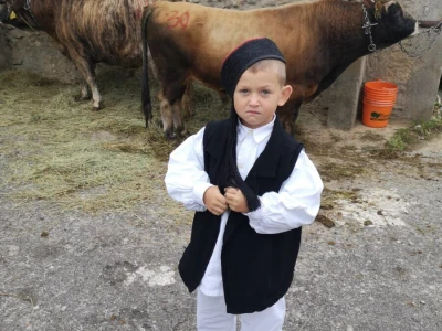 Koze u Lici