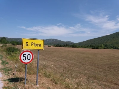 Koze u Lici