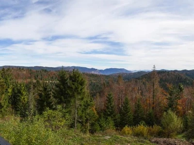 Kozji Vrh, Gorski kotar