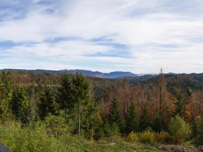 Kozji Vrh, Gorski kotar