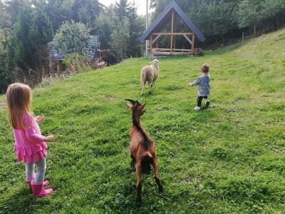 Kozji Vrh, Gorski kotar