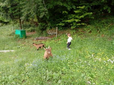 Kozji Vrh, Gorski kotar