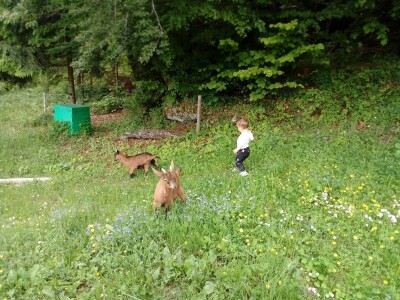 Kozji Vrh, Gorski kotar