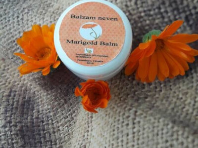 Nježni neven uvijek je dobrodošap Nježni neven uvijek je dobrodošap