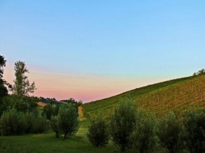 Oplemenjeni krajobraz u Italiji
