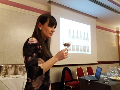 Kraljevina Zelina - slike