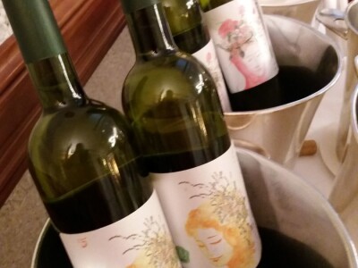 Kraljevina Zelina - slike