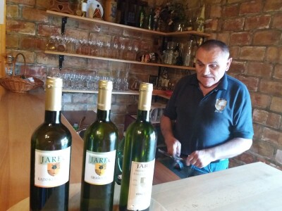 Kraljevina Zelina - slike