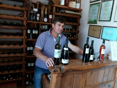 Kraljevina Zelina - slike