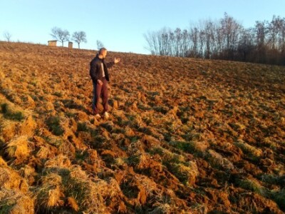 Kupuju i pripremaju zemlju za širenje vinograda