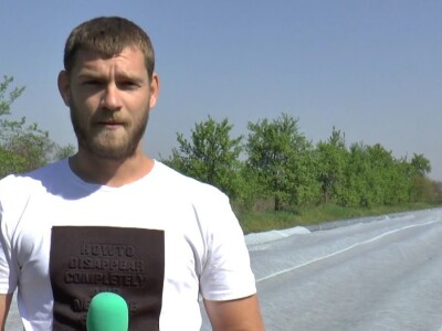 krastavci i luk krastavci i luk