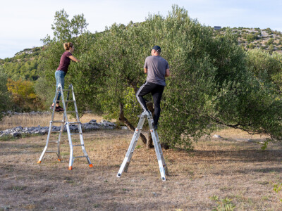 Krause ljestve Krause ljestve