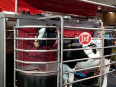 Najveći skandinavski sajam