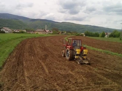 Krava Nina već treću godinu teli dvojke