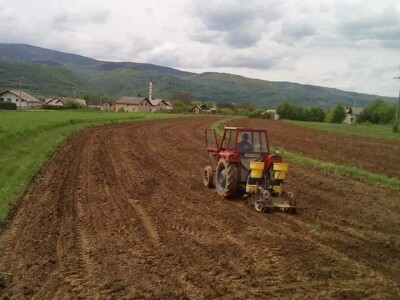 Krava Nina već treću godinu teli dvojke Krava Nina već treću godinu teli dvojke