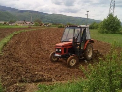 Krava Nina već treću godinu teli dvojke Krava Nina već treću godinu teli dvojke