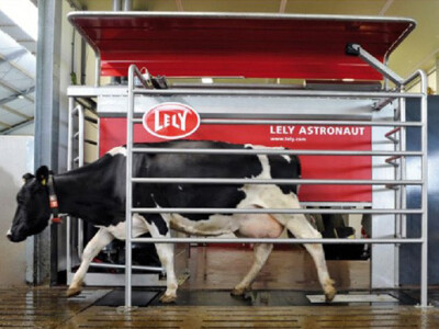 Robot LELY ASTRONAUT A4