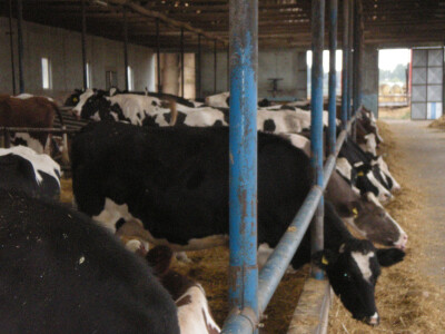 Kontrola kvaliteta mleka