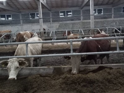 Obrt "Vujinović" na Vlašiću kod Travnika