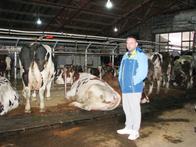 Zlatko pored krava rekorderki 1