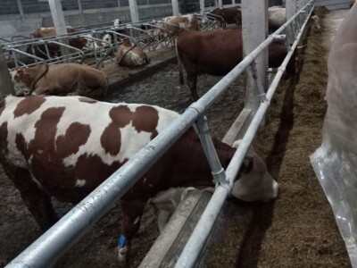 Obrt "Vujinović" na Vlašiću kod Travnika