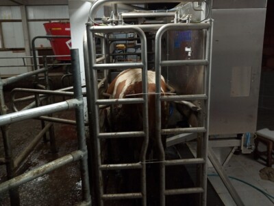 Obrt "Vujinović" na Vlašiću kod Travnika