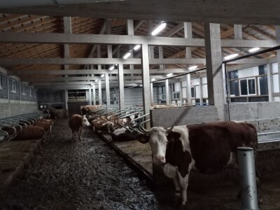 Obrt "Vujinović" na Vlašiću kod Travnika