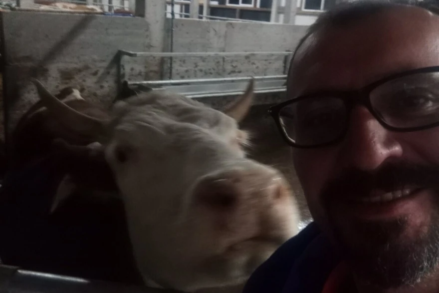 selfi s kravom