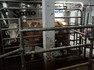 Obrt "Vujinović" na Vlašiću kod Travnika