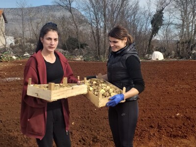 Kravica, krompir, duhan - simboli bh. grada koji je dobio ime po ženi