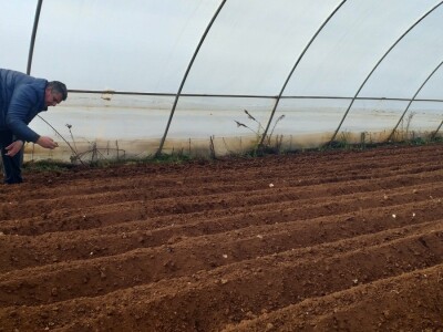 Kravica, krompir, duhan - simboli bh. grada koji je dobio ime po ženi