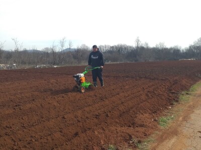 Kravica, krompir, duhan - simboli bh. grada koji je dobio ime po ženi