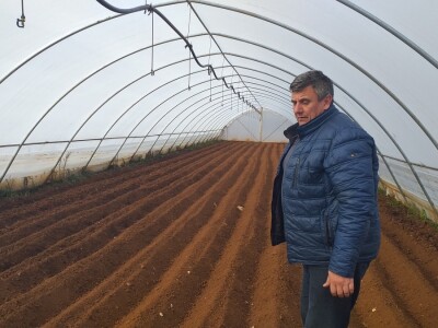 Kravica, krompir, duhan - simboli bh. grada koji je dobio ime po ženi