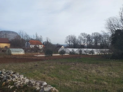 Kravica, krompir, duhan - simboli bh. grada koji je dobio ime po ženi