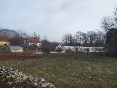 Kravica, krompir, duhan - simboli bh. grada koji je dobio ime po ženi