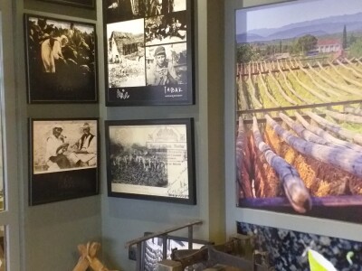 Kravica, krompir, duhan - simboli bh. grada koji je dobio ime po ženi