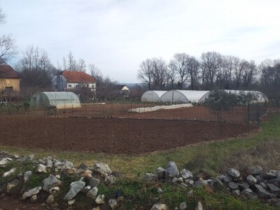 Kravica, krompir, duhan - simboli bh. grada koji je dobio ime po ženi