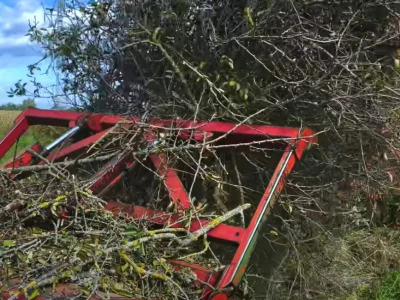 Krčenje zemljišta