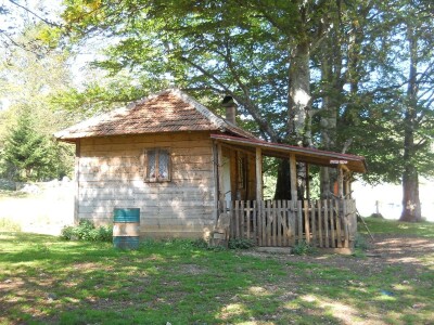 Krda konja i krava na Rakošu