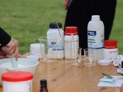 Radionica ljekovitog bilja